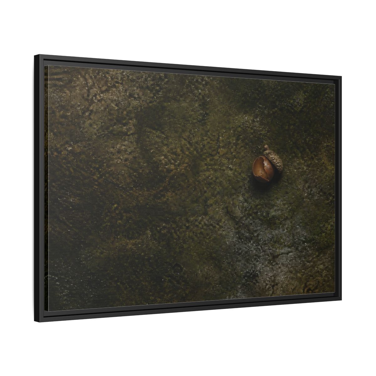 Side Mockup 13. Split Acorn On Moss shown as framed canvas print