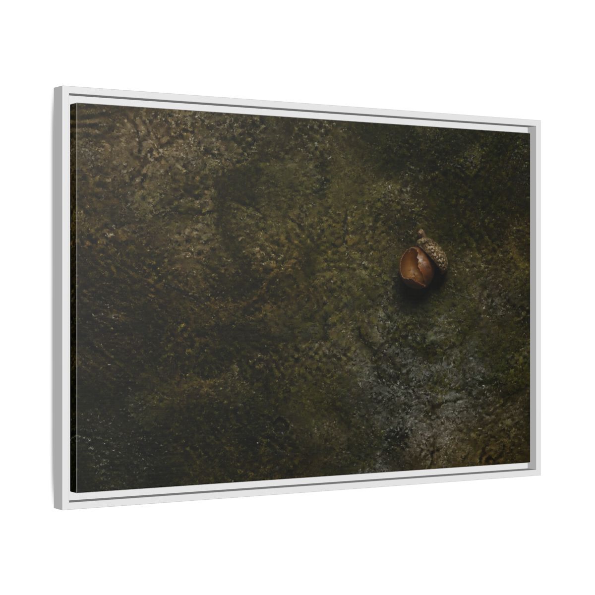 Side Mockup 9. Split Acorn On Moss shown as framed canvas print
