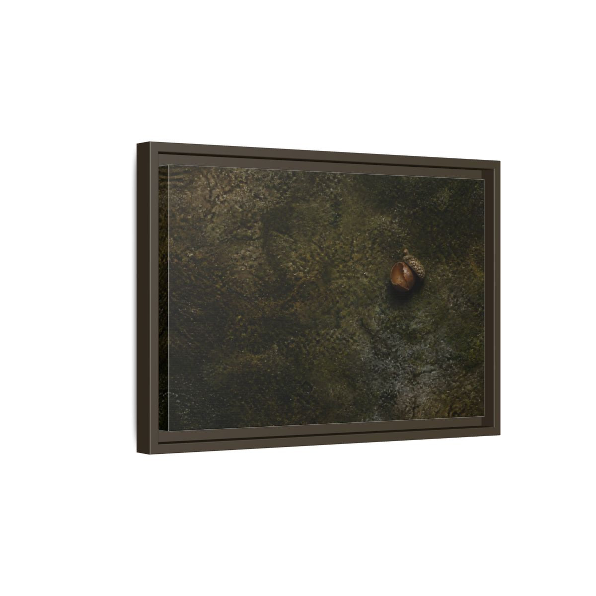 Side Mockup 5. Split Acorn On Moss shown as framed canvas print