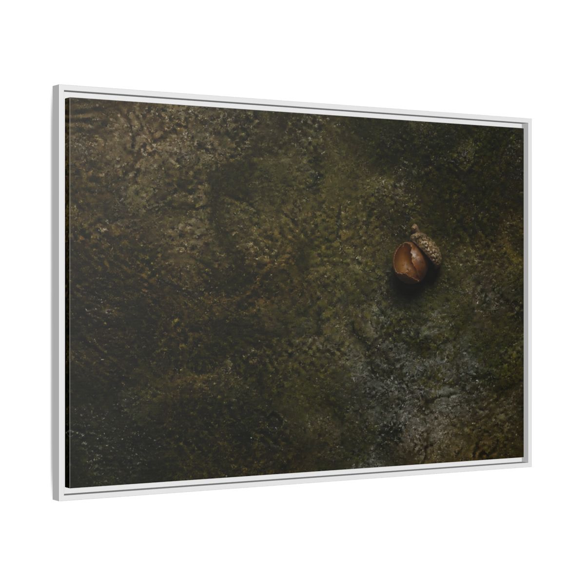 Side Mockup 7. Split Acorn On Moss shown as framed canvas print