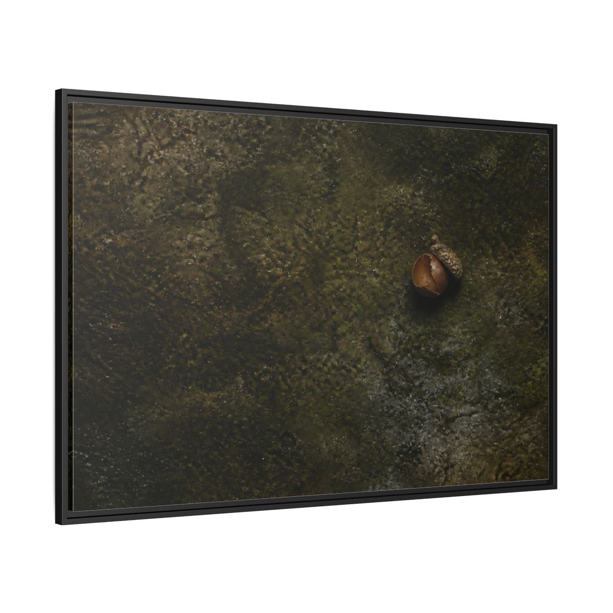 Side Mockup 12. Split Acorn On Moss shown as framed canvas print