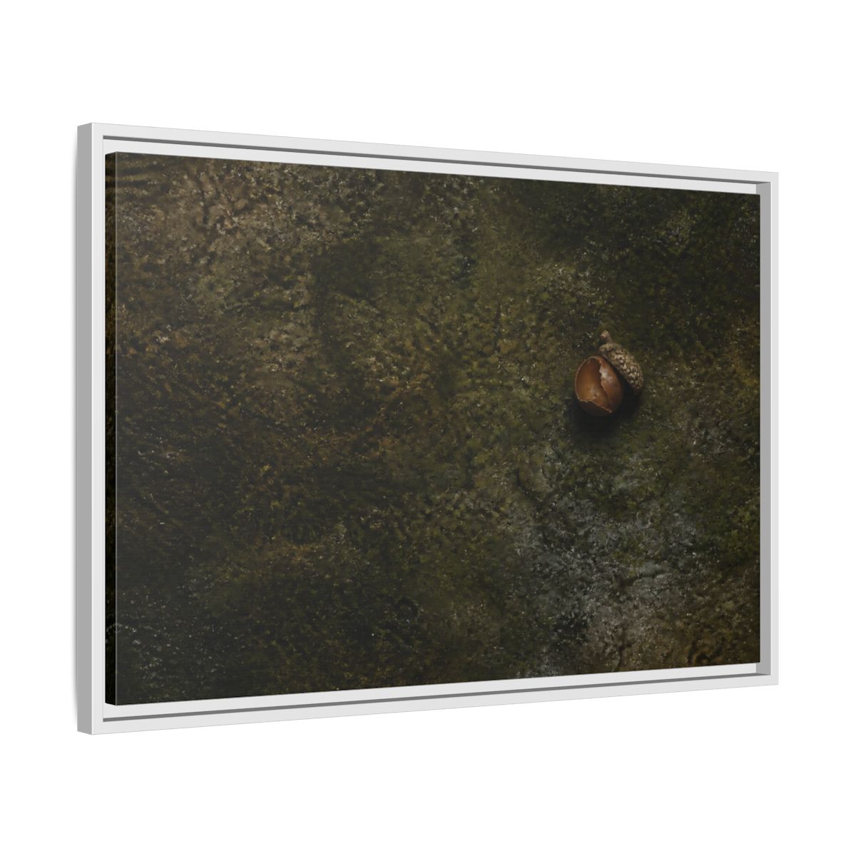 Side Mockup 10. Split Acorn On Moss shown as framed canvas print