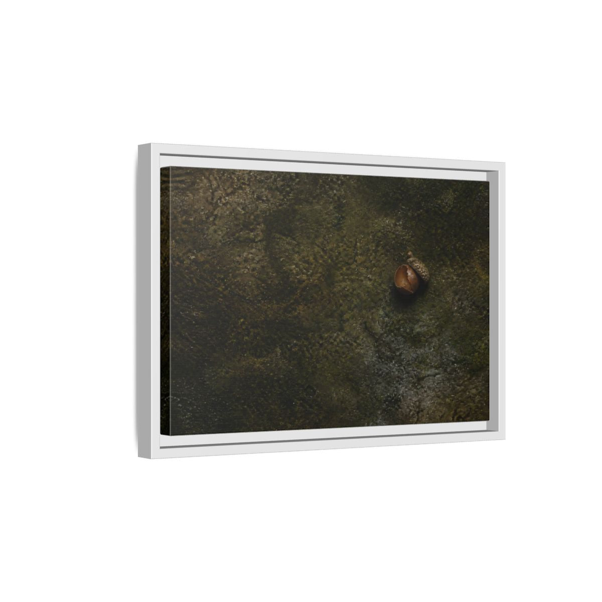 Side Mockup 4. Split Acorn On Moss shown as framed canvas print