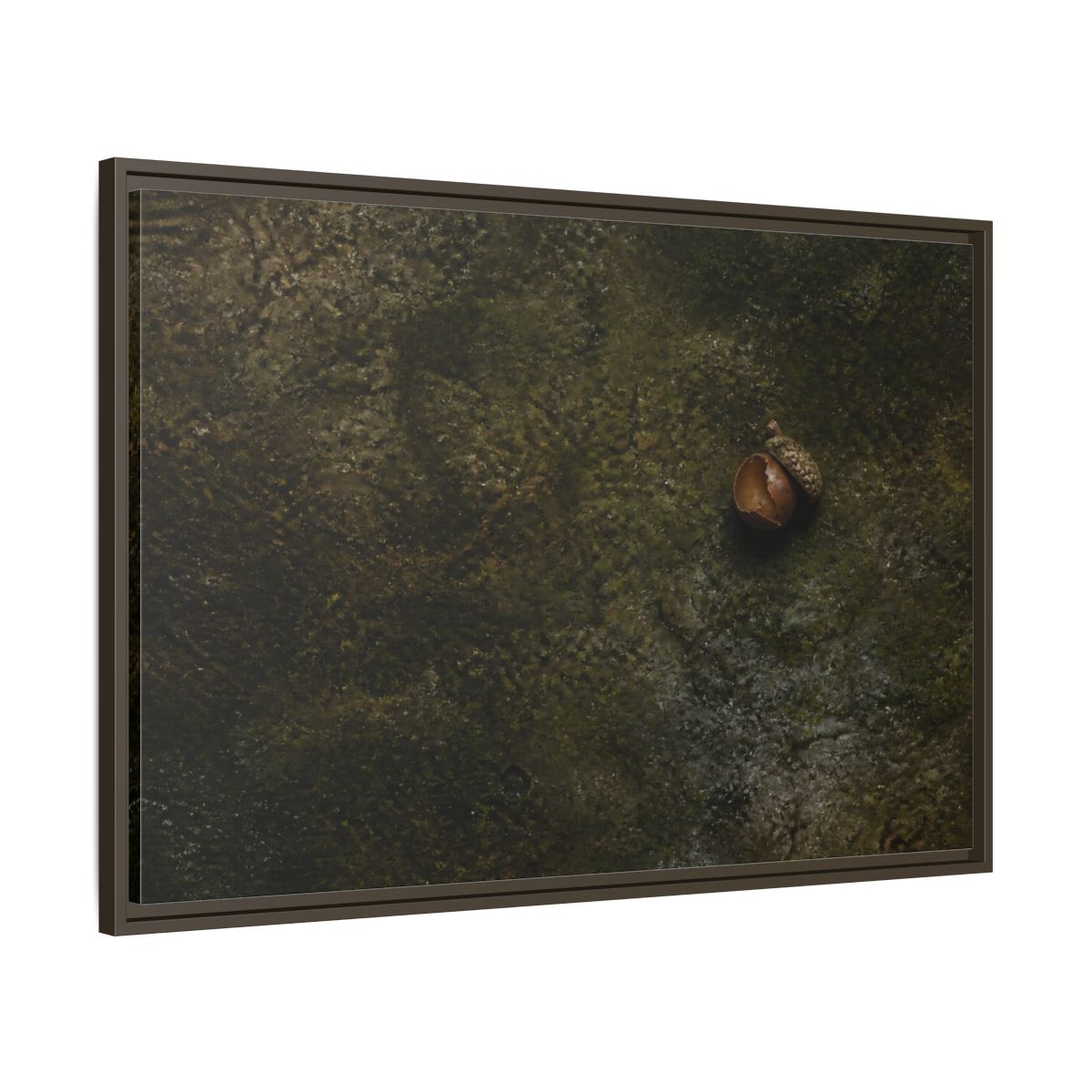 Main Mockup. Split Acorn On Moss shown as framed canvas print