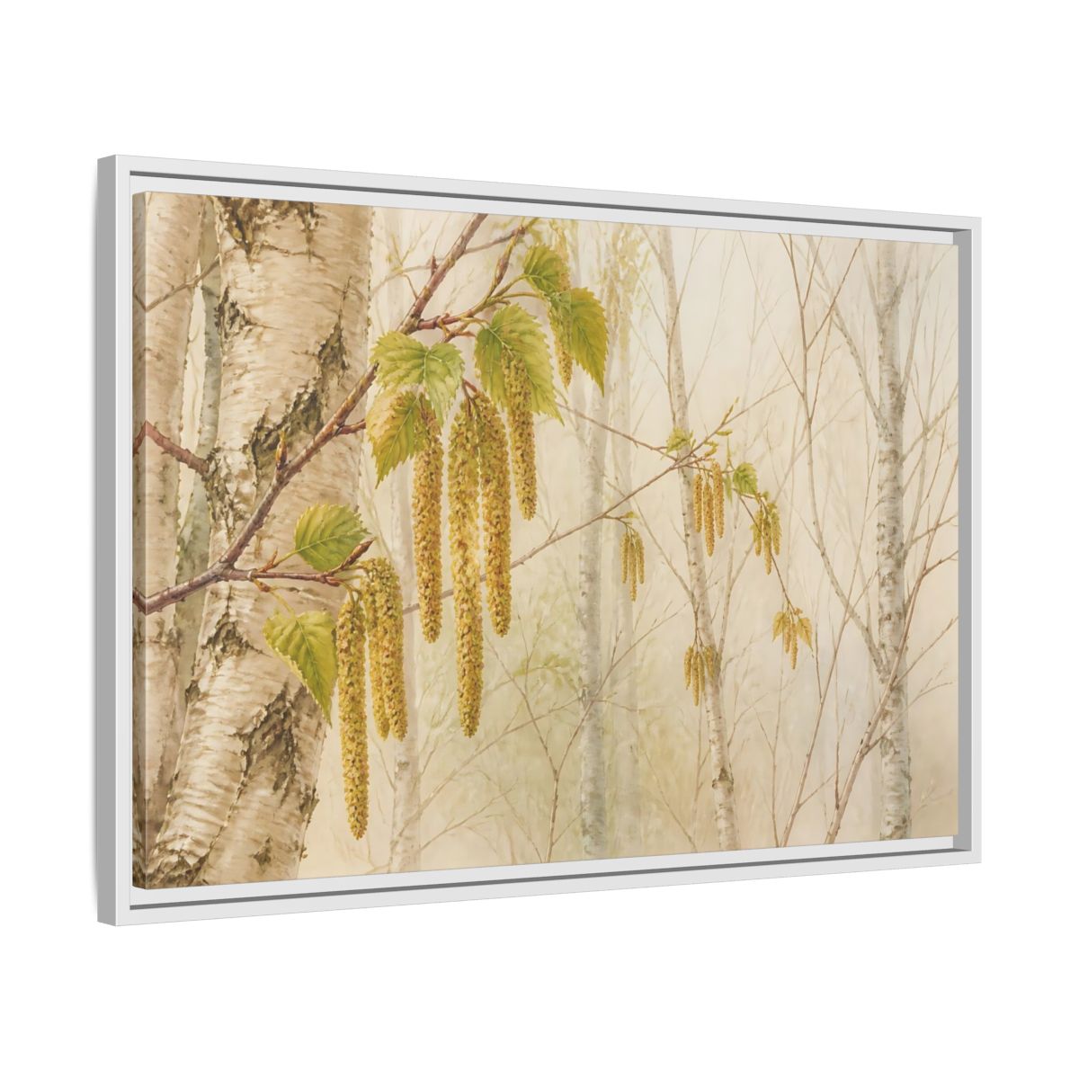 Side Mockup 10. Spring Birch Catkins shown as framed canvas print