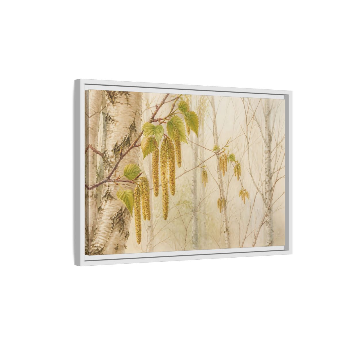 Side Mockup 1. Spring Birch Catkins shown as framed canvas print