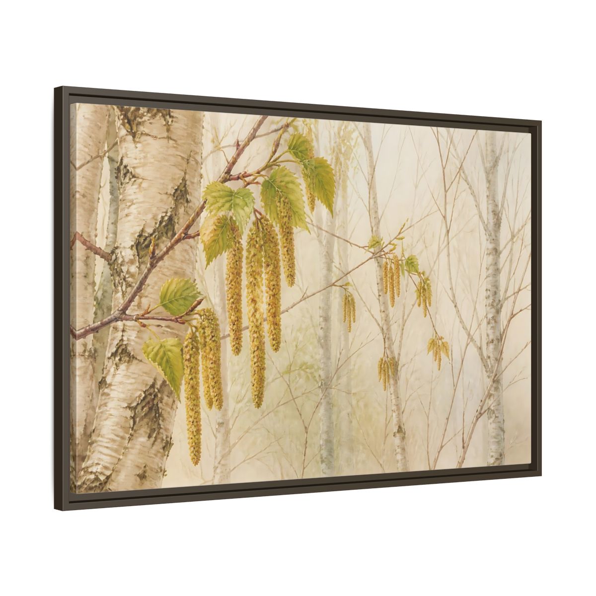 Main Mockup. Spring Birch Catkins shown as framed canvas print