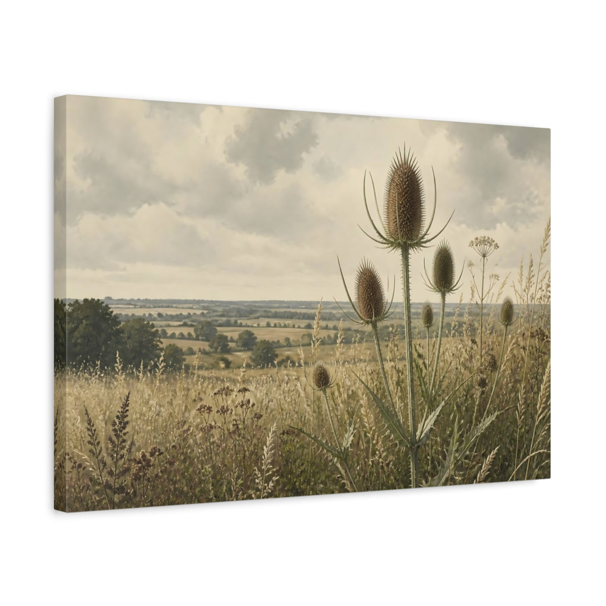 Side Mockup 3. Teasels In Summer Meadow shown as canvas print