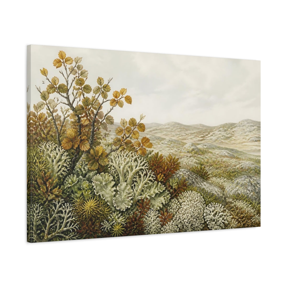Main Mockup. Tundra Lichen Landscape shown as canvas print