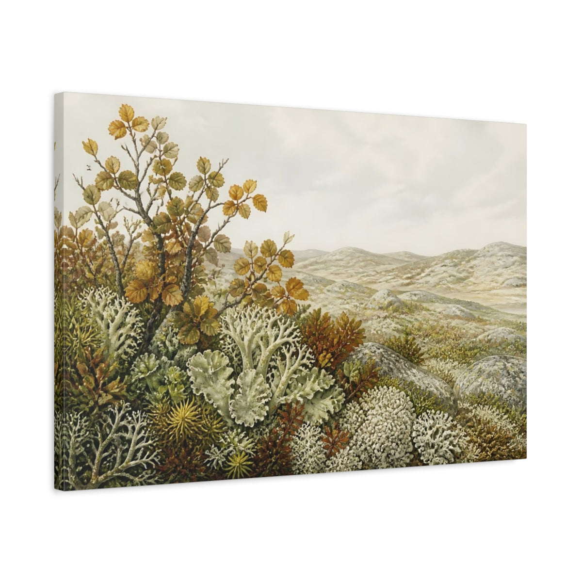 Side Mockup 2. Tundra Lichen Landscape shown as canvas print