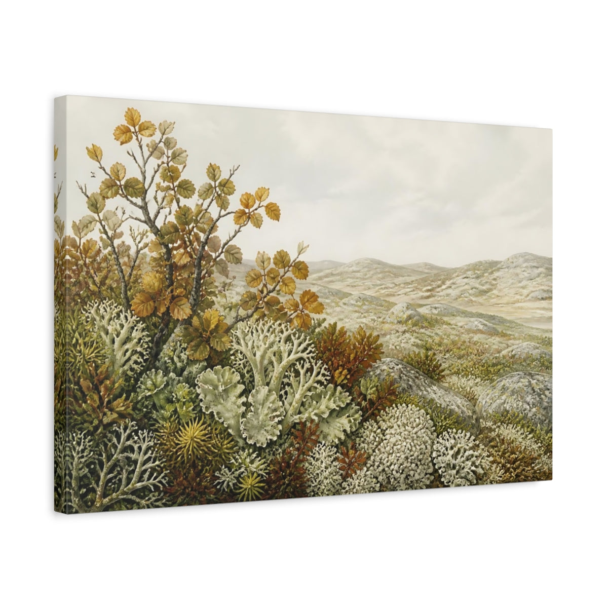 Side Mockup 3. Tundra Lichen Landscape shown as canvas print