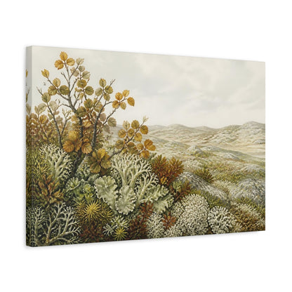 Side Mockup 3. Tundra Lichen Landscape shown as canvas print