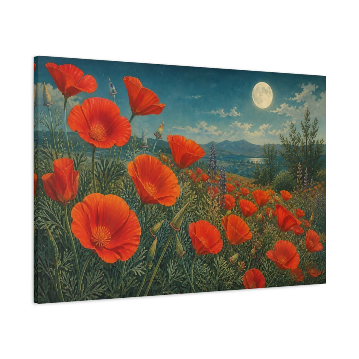 Main Mockup. Vintage Botanical Illustration Field Of Red California Poppies Under Moonlit Air shown as stretched canvas wall art