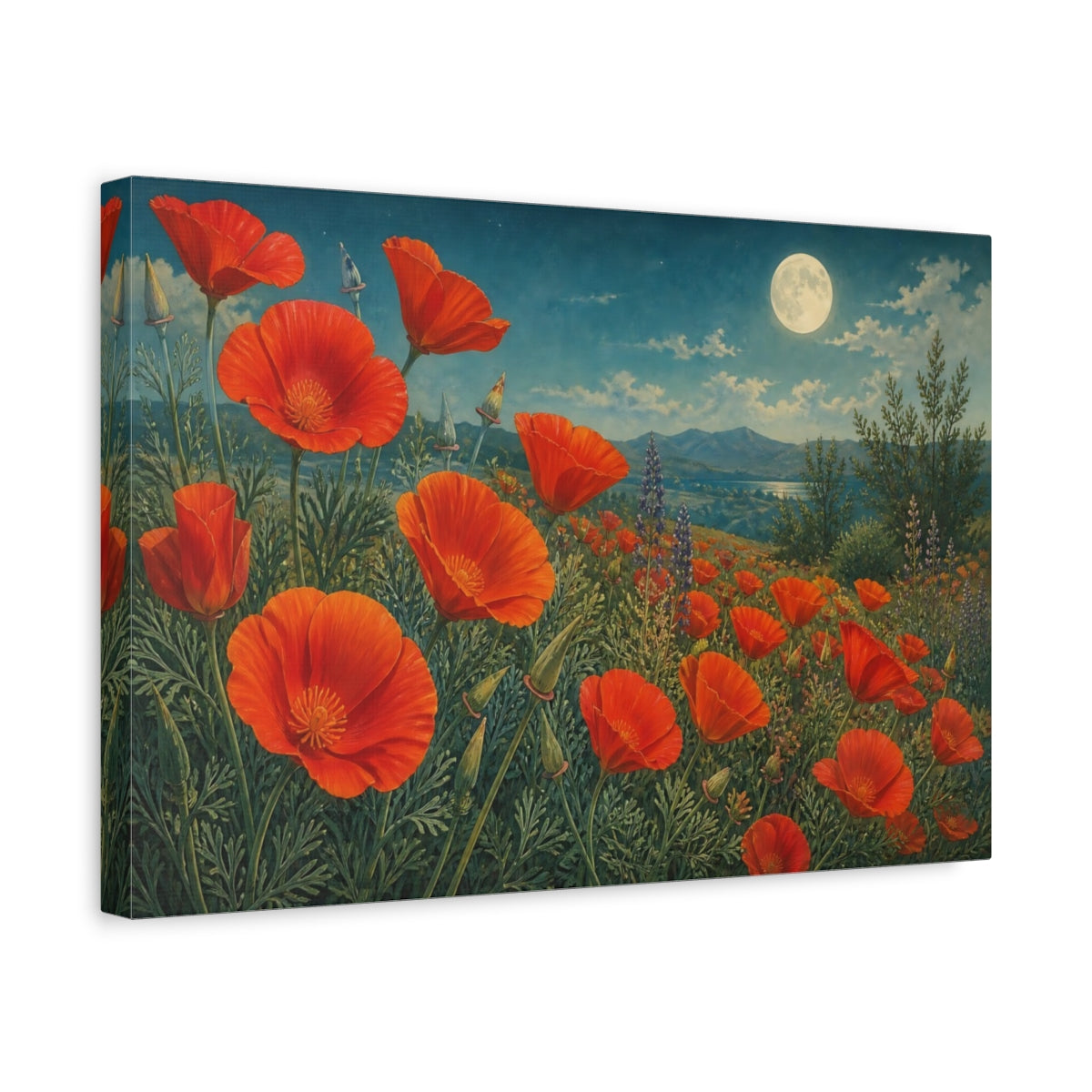 Side Mockup 4. Vintage Botanical Illustration Field Of Red California Poppies Under Moonlit Air shown as stretched canvas wall art