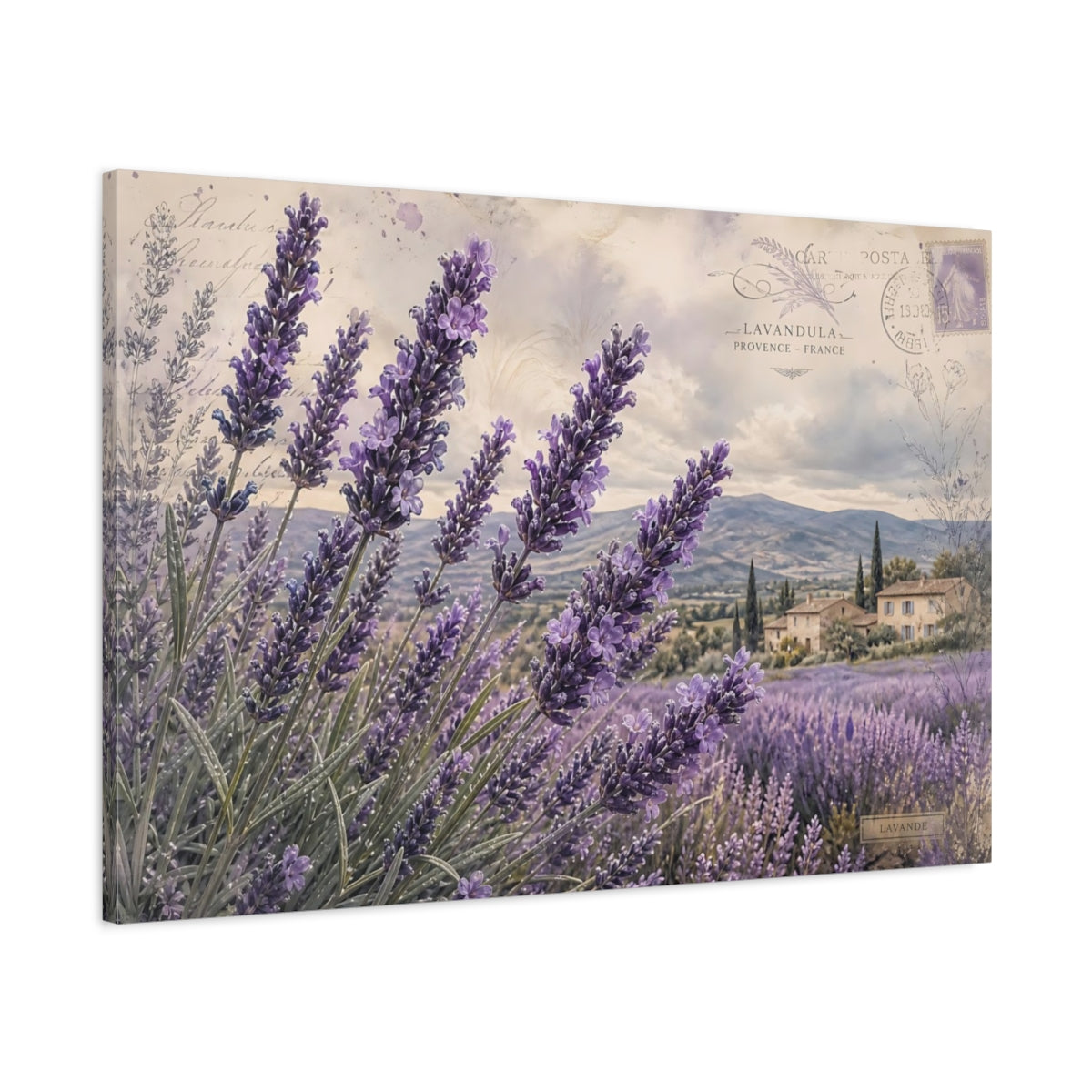 Main Mockup. Vintage Botanical Illustration Lavender Across Provence Field After Rain shown as stretched canvas wall art