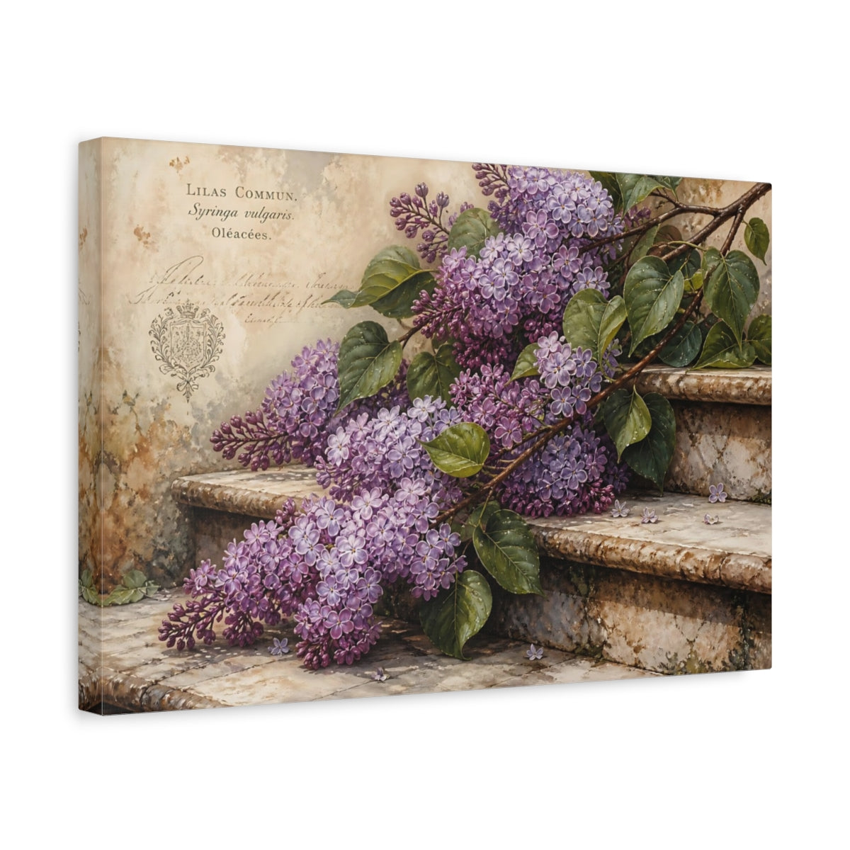 Side Mockup 4. Vintage Botanical Illustration Lilac Branches Above Stone Steps With Dew Drops shown as stretched canvas wall art