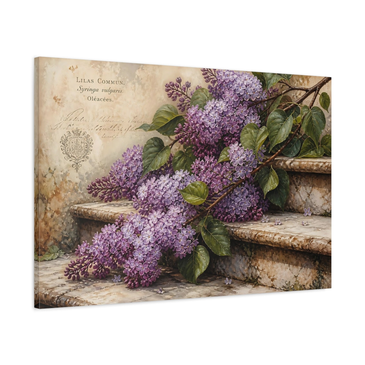 Main Mockup. Vintage Botanical Illustration Lilac Branches Above Stone Steps With Dew Drops shown as stretched canvas wall art