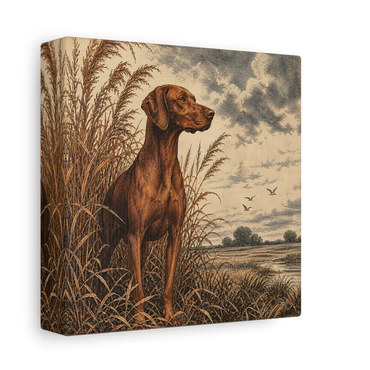 Side Mockup 2. Vizsla Pets Portrait shown as canvas print