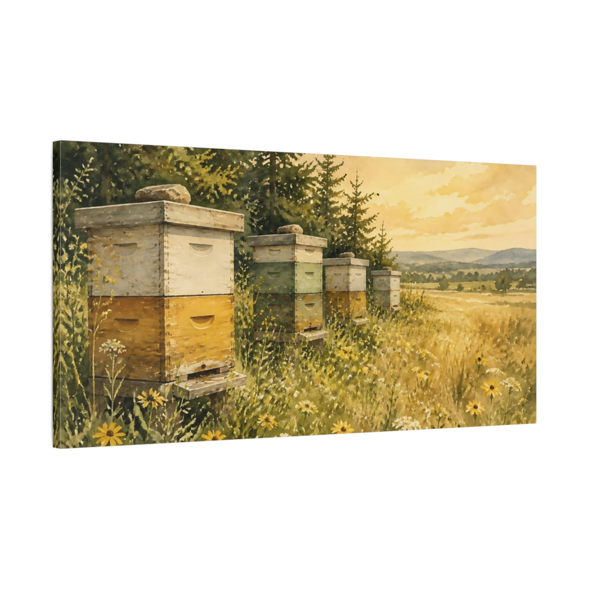 Main Mockup. Weathered Beehives At Sunset shown as canvas print