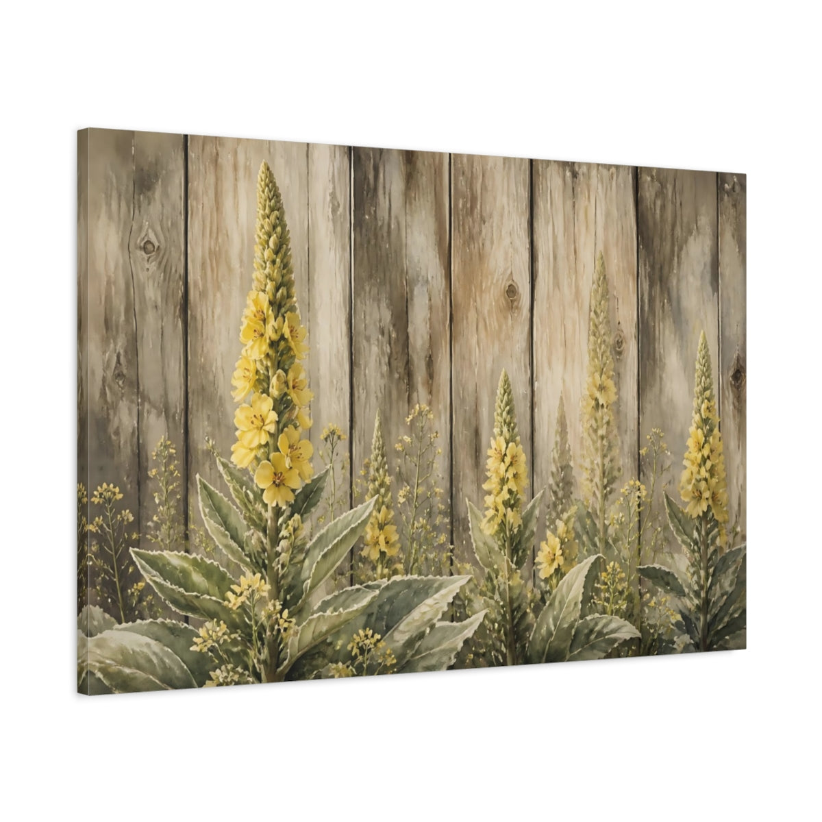 Main Mockup. Yellow Mullein Blooms shown as canvas print
