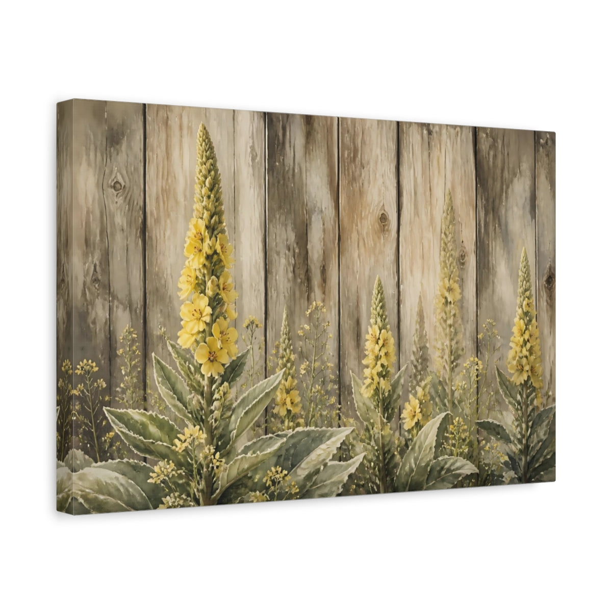 Side Mockup 4. Yellow Mullein Blooms shown as canvas print