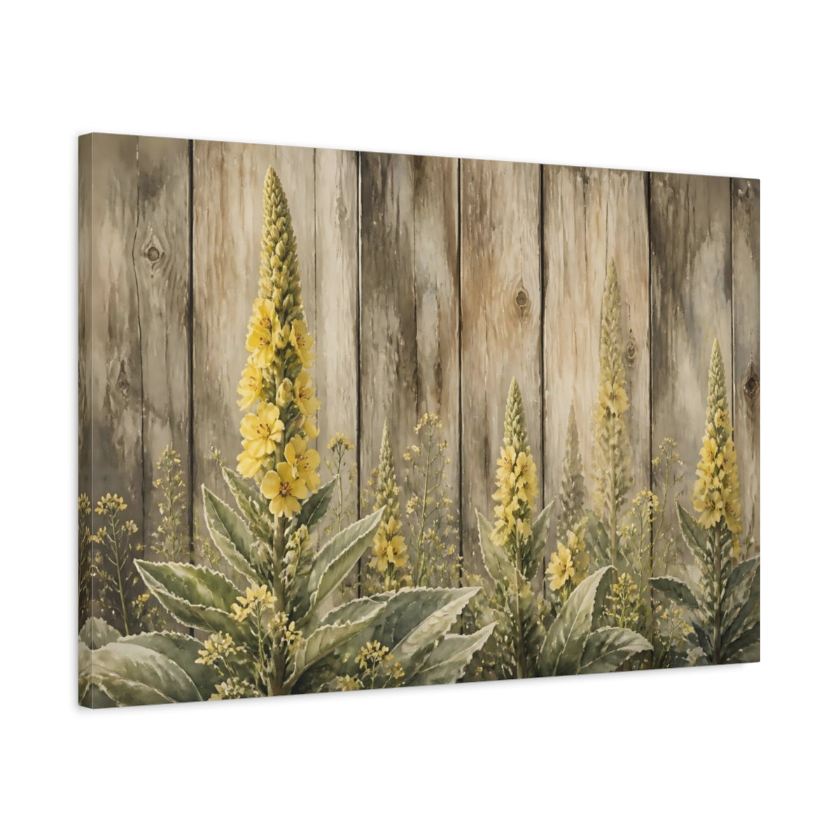 Side Mockup 2. Yellow Mullein Blooms shown as canvas print